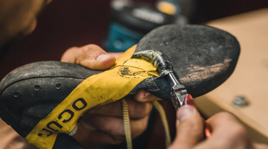 La importancia de elegir un buen resolador para tus pies de gato